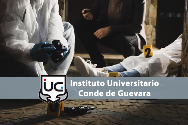 Online Learning Platform