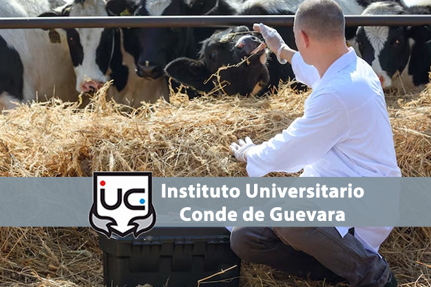 Online Learning Platform